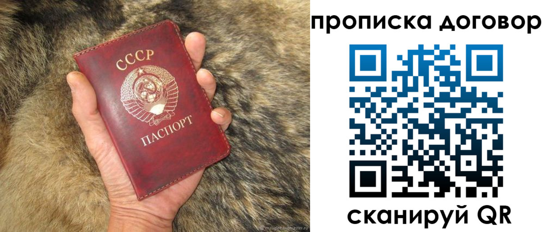 прописка регистрация в Саратовской области